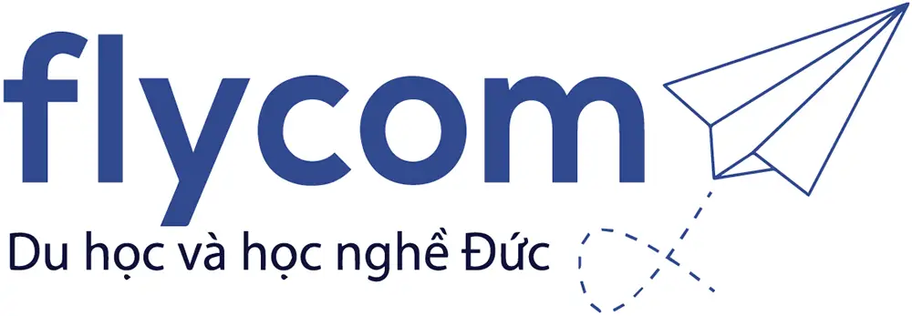 Logo flycom
